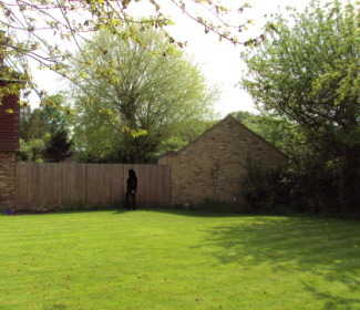 project image - garden office background